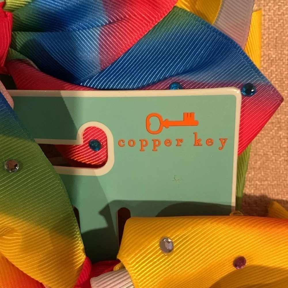 NWT Copper Key rainbow 🌈 bow hair clip